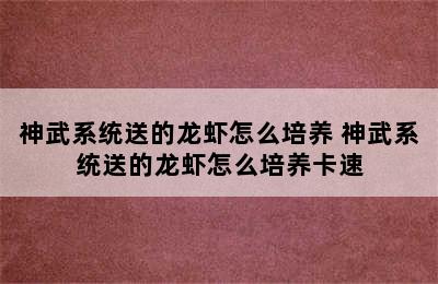 神武系统送的龙虾怎么培养 神武系统送的龙虾怎么培养卡速